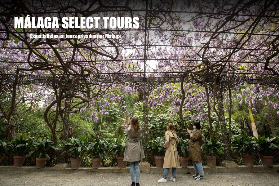 Descubre la belleza natural en los tours en Málaga: Explora el Jardín Botánico-Histórico La Concepción
